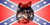 Confederate Wolf License Plate