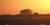 Trees On Hill Horizon License Plate