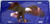 Eagle on Water License Plate