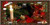 Holiday Setting Full Color License Plate