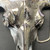 Texas Belt Buckle Longhorn Head