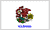 State of Illinois Flag 2 X 3 ft. Junior