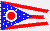 State of Ohio Flag 2 X 3 ft. Junior
