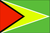 Guyana 6 x 10 Nylon Dyed Flag (USA Made)