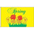 Spring 3 x 5 Nylon Dyed Flag (USA Made)