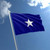 Bonnie Blue Flag - 2 ply Nylon Embroidered - Outdoor