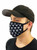 Fleur de Lis Face Mask With Filter Pocket