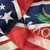 USA Rebel Gadsden- Lightweight