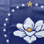 New State of Mississippi Flag All Sizes.- Made in USA