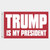 Trump Is My President Red Flag - Made in USA