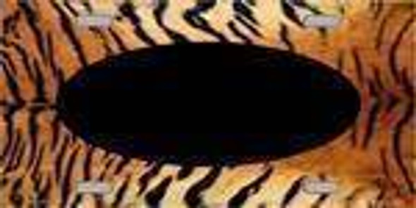 Black On Tiger Stripes License Plate