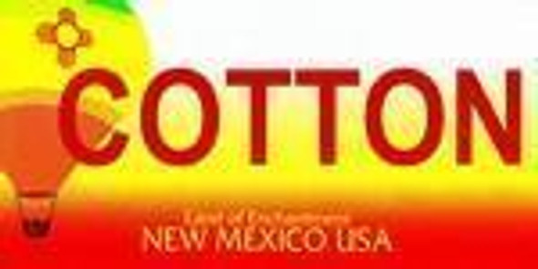 New Mexico State Background License Plate
