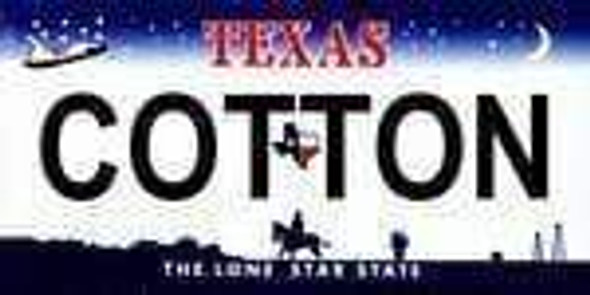 Texas State Background License Plate