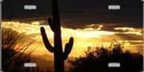 Southwest United States Cactus at Sunset Full Color Photography License Plate