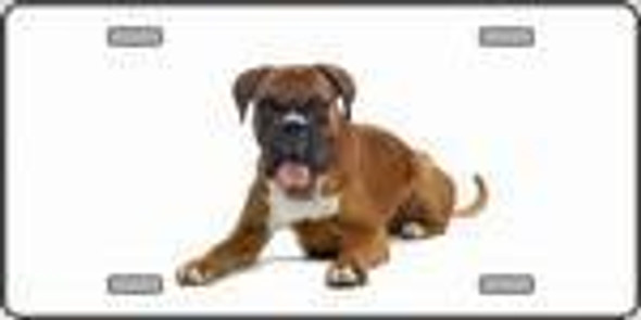 Boxer Dog License Plate