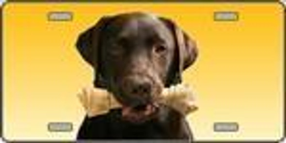 Chocolate Labrador Retriever Dog License Plate