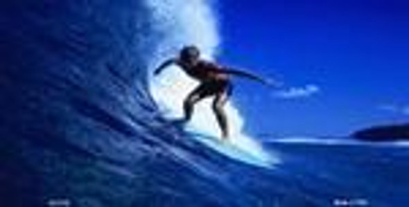 Surfing On The Blue Waves License Plate