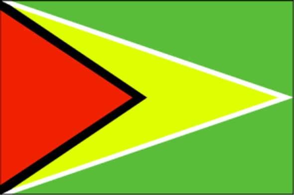 Guyana Flag 12 X 18 inch on stick