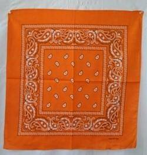 Orange Paisley Bandana