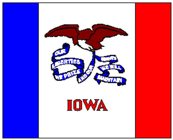 State of Iowa Flag 12 x 18 inch on Stick