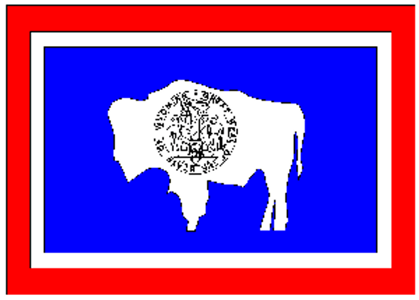 State of Wyoming Flag 4 X 6 ft. Large