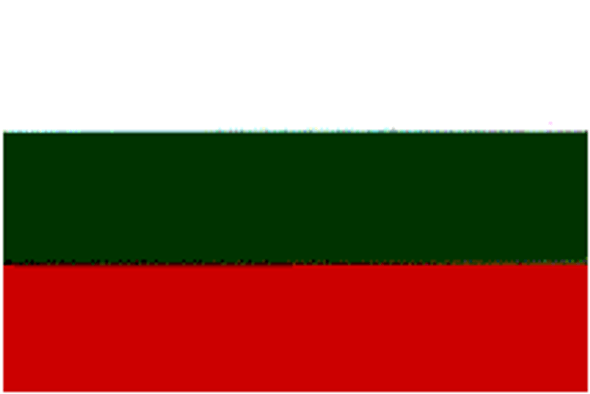Bulgaria Flag 4 X 6 Inch pack of 10