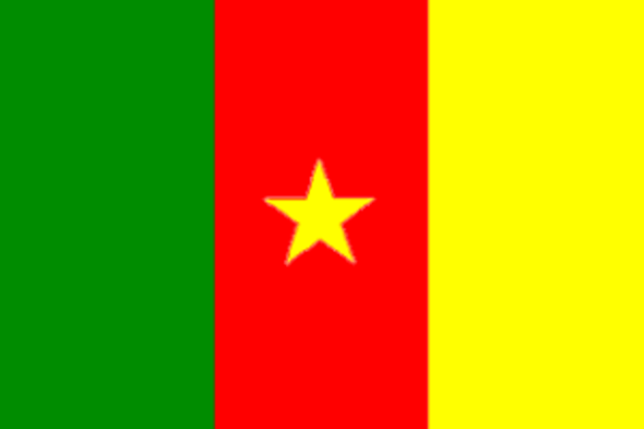 Cameroon Flag 4 X 6 inch on stick