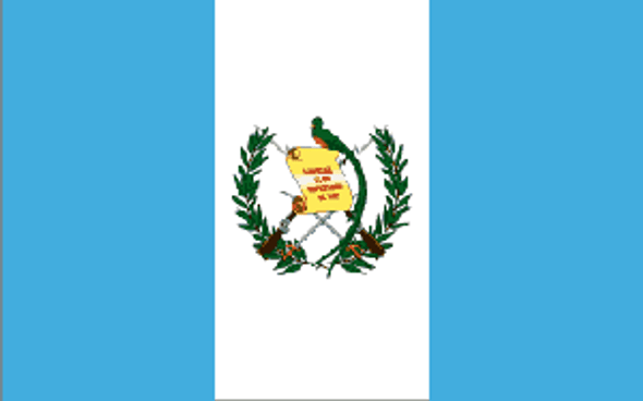 Guatemala Flag 12 x 18 inch on Stick