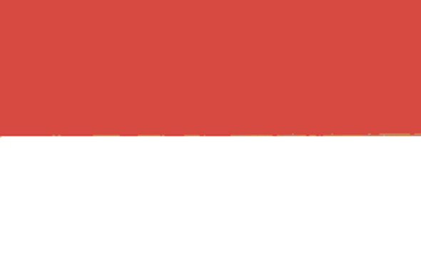 Indonesia Flag 2 X 3 ft. Junior