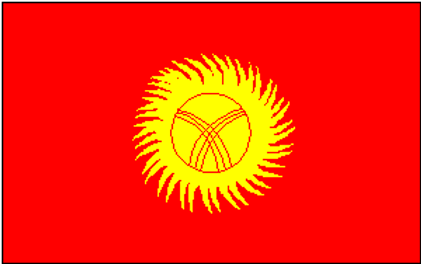 Kyrgyzstan Flag 4 X 6 inch on stick