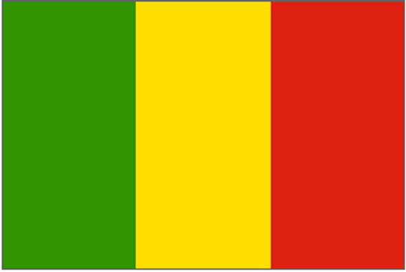 Mali Flag 2 X 3 ft. Junior