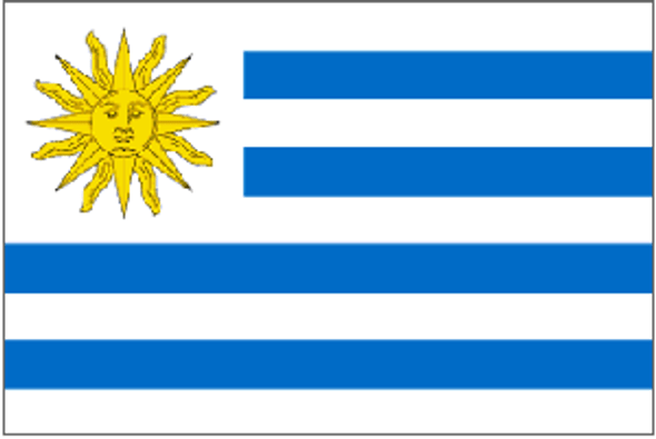 Uruguay Flag 4 X 6 inch on stick