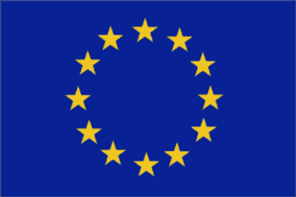 European Union EU Flag 12 x 18 inch on Stick