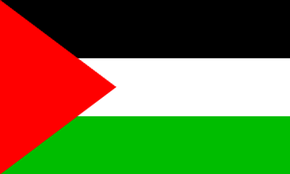 Palestine 3 x 5 Nylon Dyed Flag (USA Made)