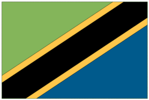 Tanzania Flag 2 X 3 ft.