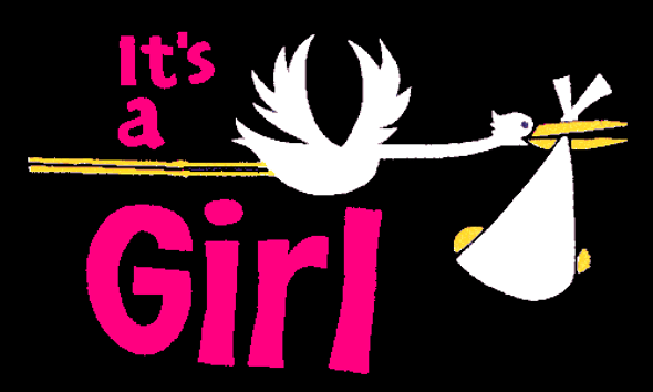 It's a Girl Flag Black 3 X 5 ft. Standard