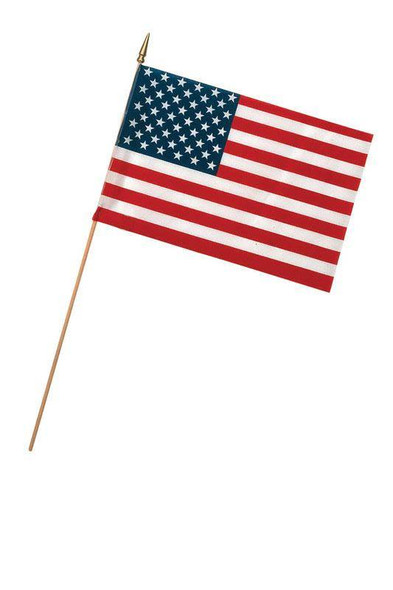 Valley Forge  American  Flag  12 in. H x 18 in. W