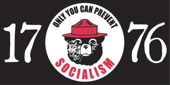 1776 Only You Can Prevent Socialism Bumper Sticker