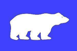 Polar bear Flag 3 X 5 ft. Standard