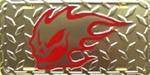 Flaming Phantom Skull License Plate