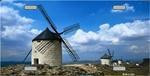 Dutch Windmill License Plate