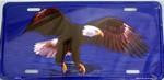 Eagle on Water License Plate