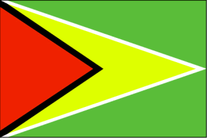 Guyana Flag 12 X 18 inch on stick