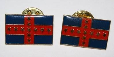 Polk Battle Pin