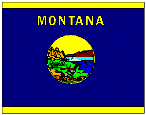 State of Montana Flag 4 X 6 ft. Large