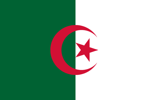 Algeria Flag 4x6 inch on stick
