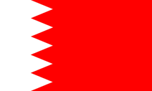 Bahrain Flag 2 X 3 ft. Junior