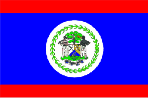 Belize Flag 2 X 3 ft. Junior