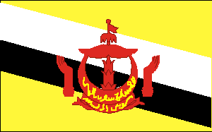 Brunei Flag 2 X 3 ft. Junior