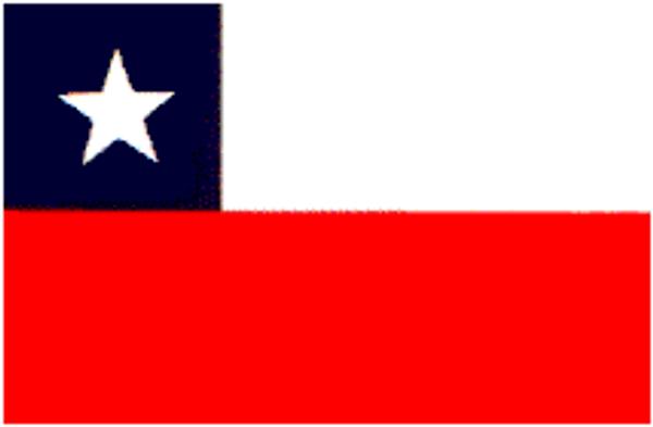Chile Flag 2 X 3 ft. Junior